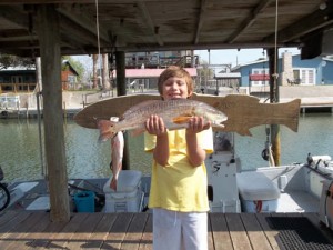 Beautiful Redfish